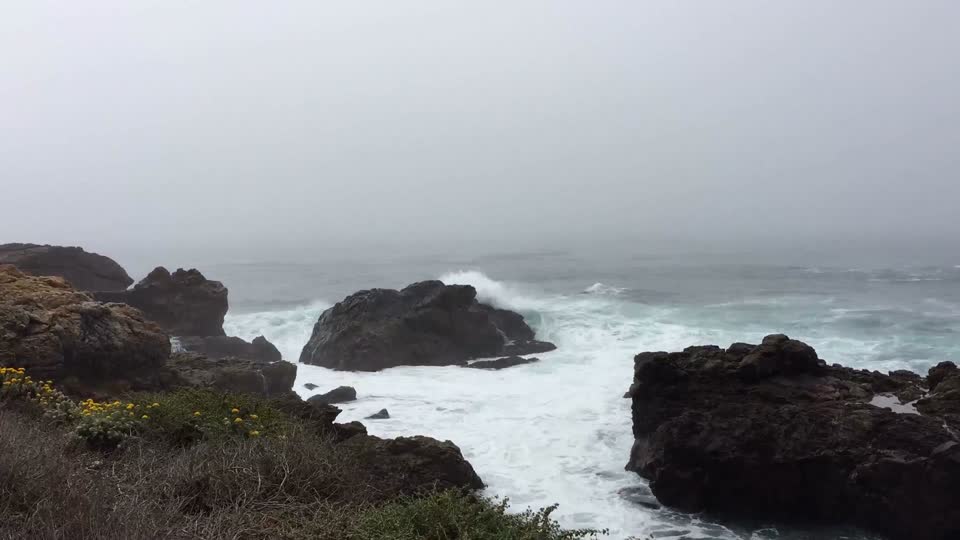 Piedras Blancas Light Station