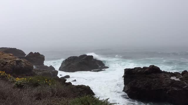 Piedras Blancas Light Station