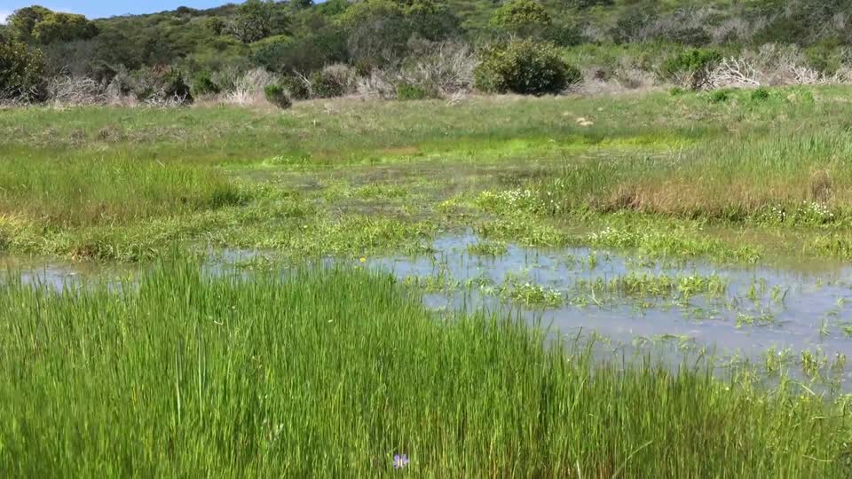 Fort Ord National Monument