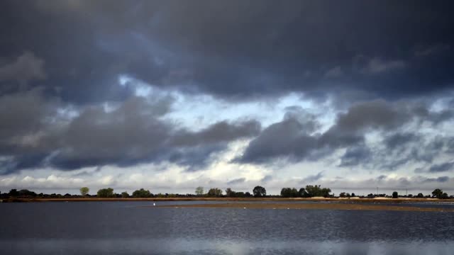 Cosumnes River Preserve