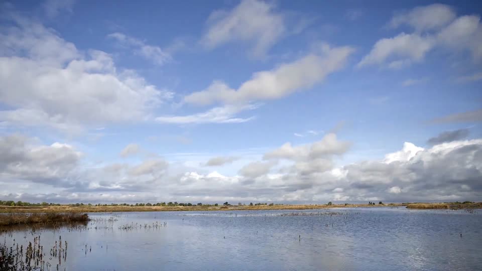 Cosumnes River Preserve
