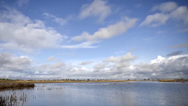 Cosumnes River Preserve