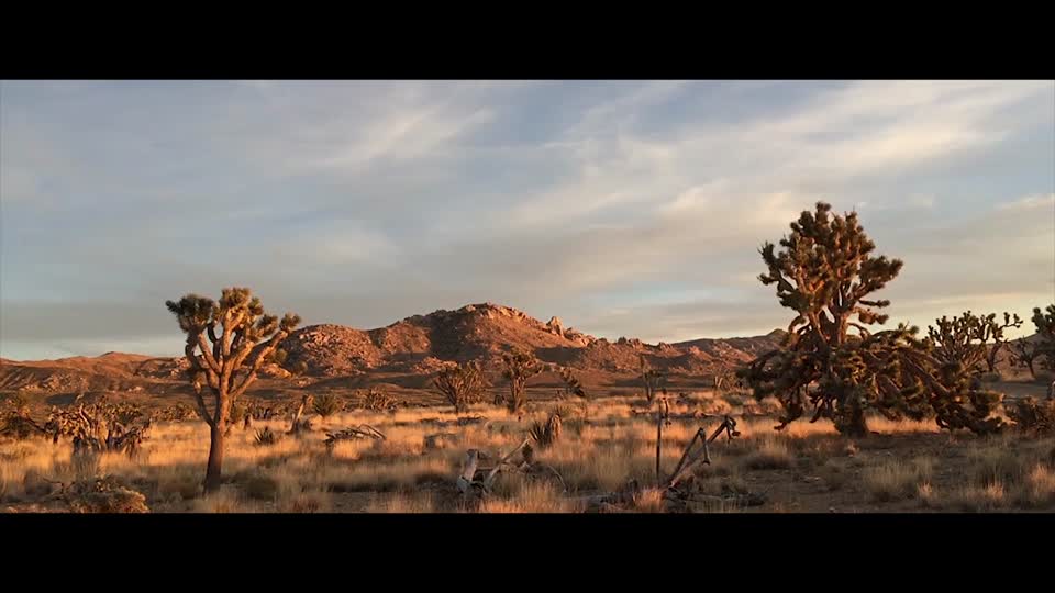 Mojave Desert Sunset