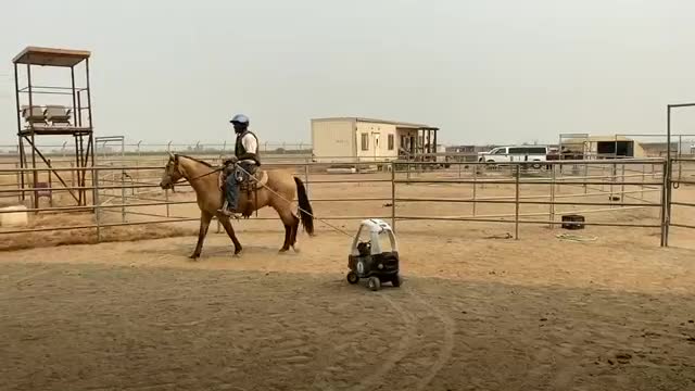 Legend obstacle course