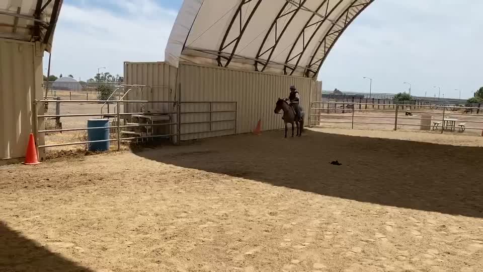 Colorado canter left
