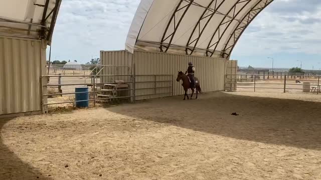Shasta canter left