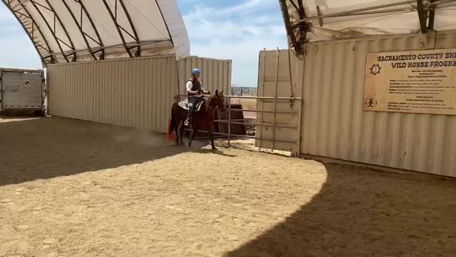 Challenger canter right