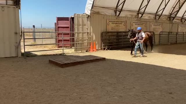 Hunter course