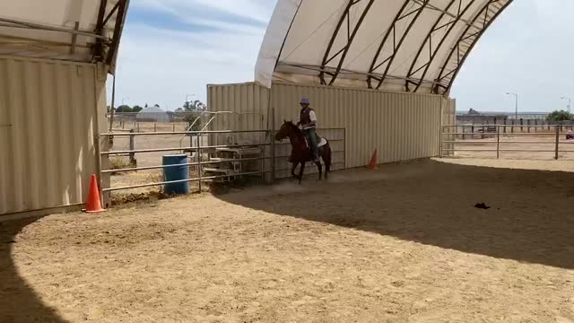 Challenger canter left