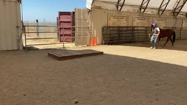 Challenger course