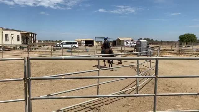 Lobobareback ride1