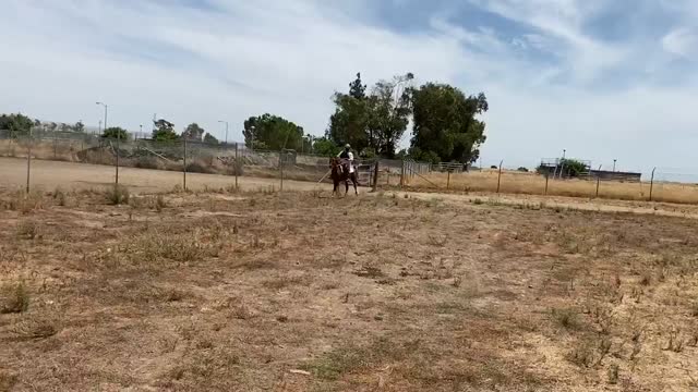Breeze canter