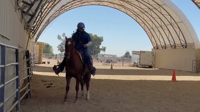Bella backing