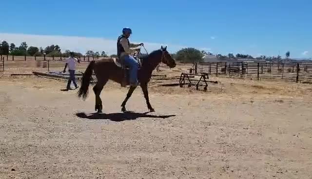 Ranger R3C