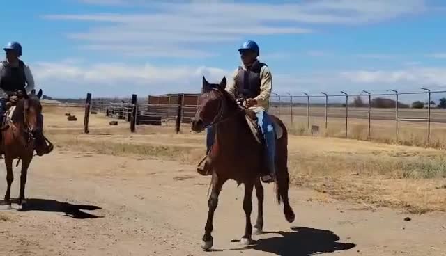 Ranger R3C