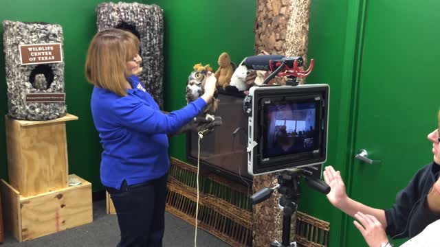 Virtually Wild, Houston Urban Wildlife Refuge Partnership and the Katy Prairie Conservancy