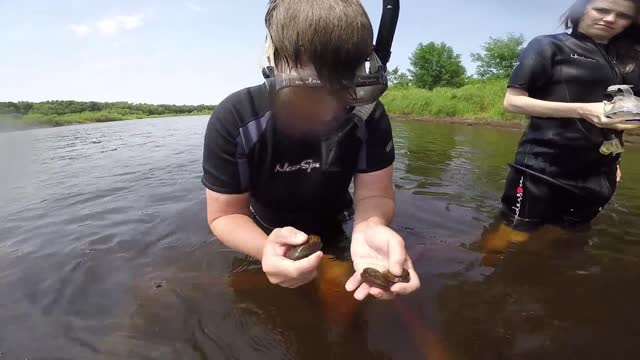 Underwater View of Mussel Release