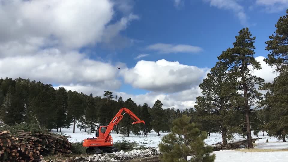 VIDEO: FWPP Helicopter Thinning Operations