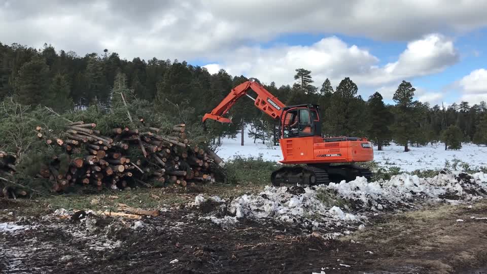 VIDEO: FWPP Helicopter Thinning Operations
