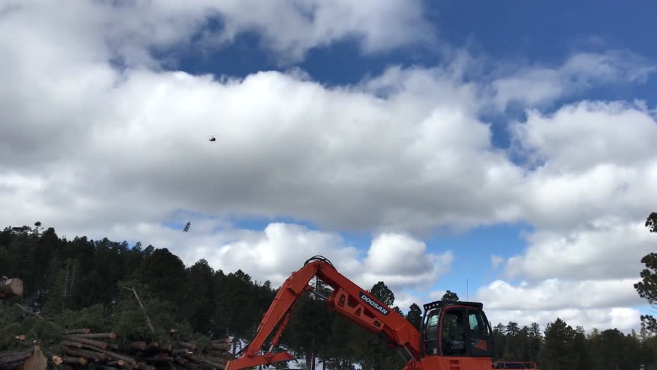 VIDEO: FWPP Helicopter Thinning Operations