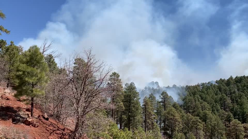 Upper Beaver Creek Rx Burn