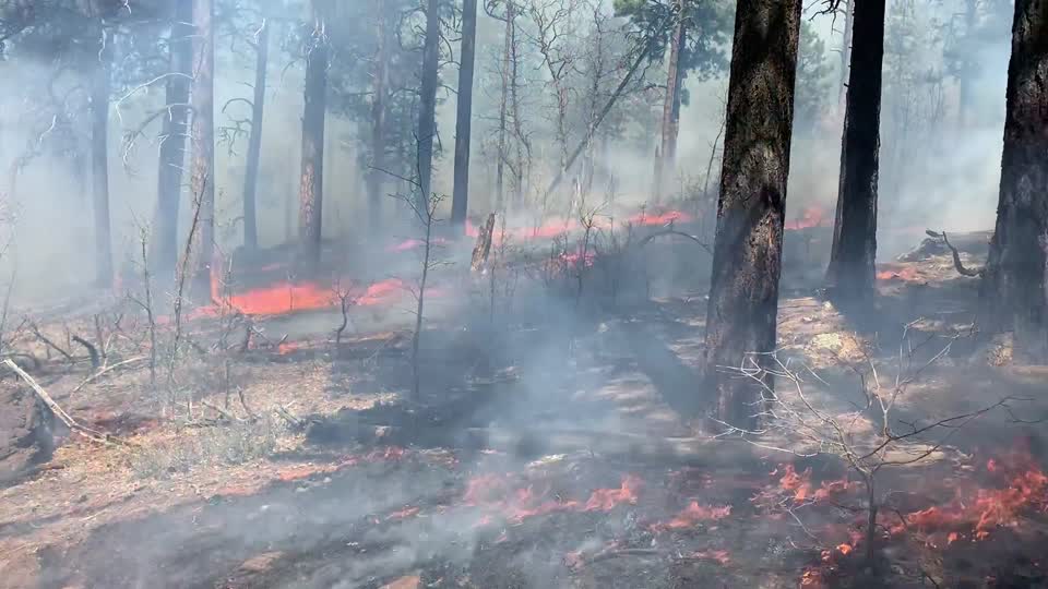 Upper Beaver Creek Rx Burn