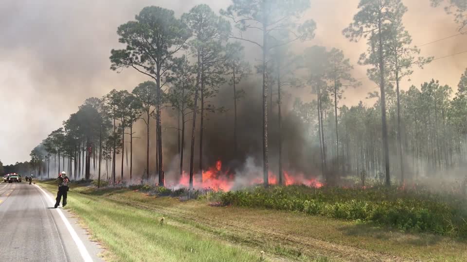 Mesa IHC conducts Strategic Firing Operation on West Mims Fire