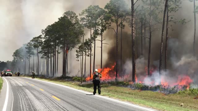 Mesa IHC conducts Strategic Firing Operation on West Mims Fire