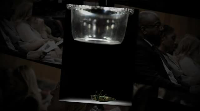 20110414-DM-LSC-999