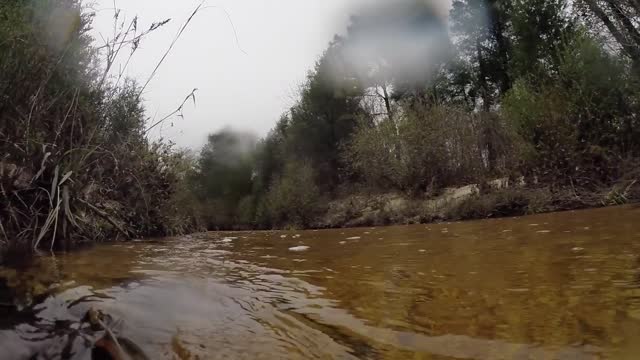 20140405-OC-LSC-1610-Big Escambia Creek