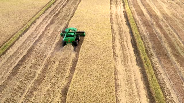 20200724-NRCS-LSC-0041-Rice Harvesting