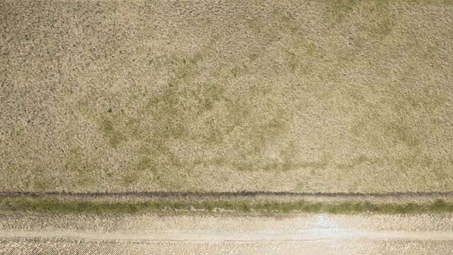 20200724-NRCS-LSC-0038-Rice Harvesting