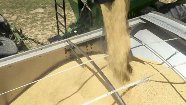 20200724-NRCS-LSC-0037-Rice Harvesting