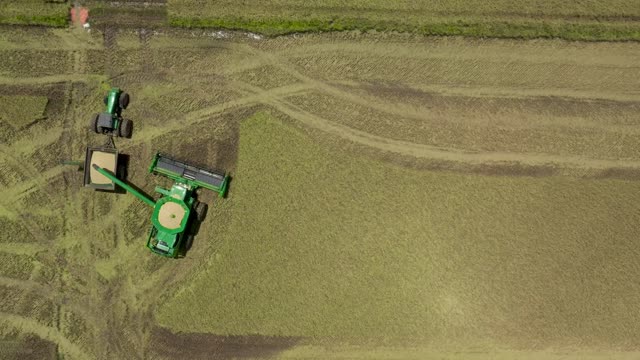 20200724-NRCS-LSC-0039-Rice Harvesting