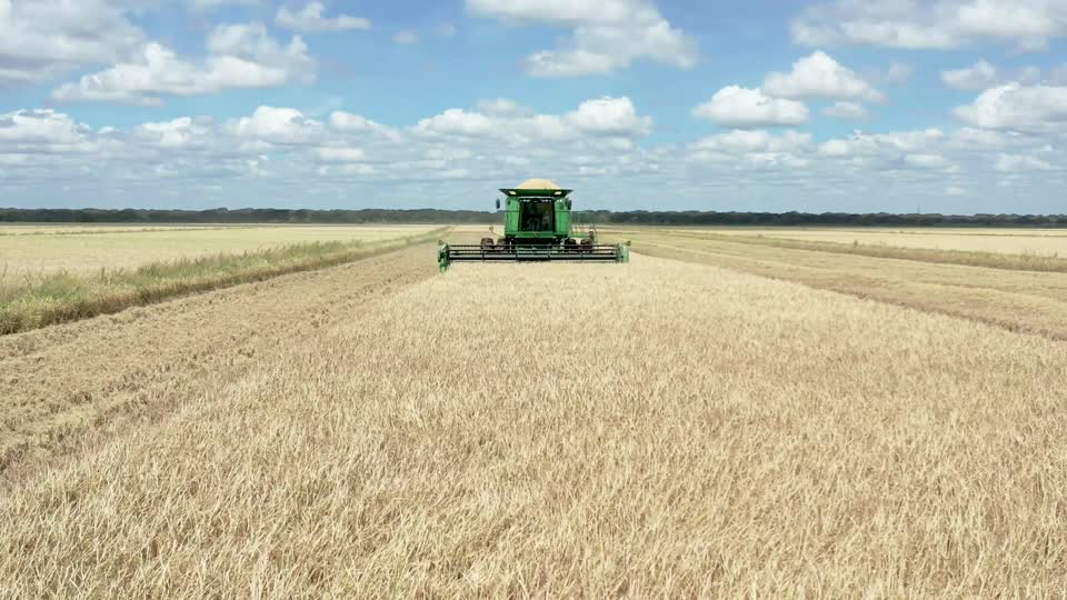 20200724-NRCS-LSC-0028-Rice Harvest