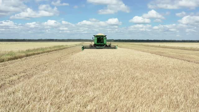 20200724-NRCS-LSC-0028-Rice Harvest