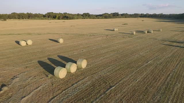 20200816-NRCS-LSC-0370-clip