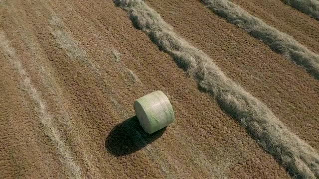 20200816-NRCS-LSC-0311-clip