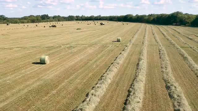 20200816-NRCS-LSC-1073-clip