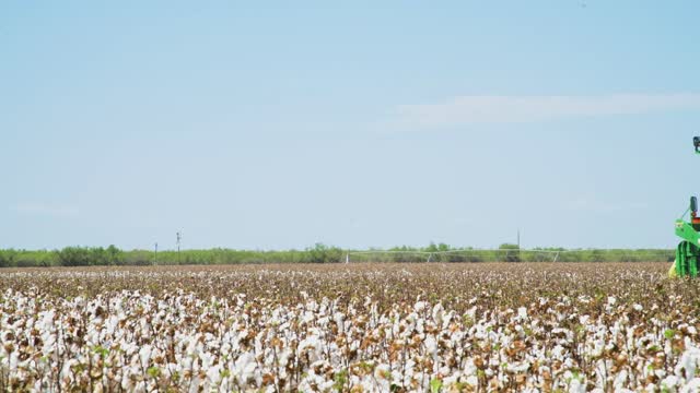 20200822-NRCS-LSC-1112