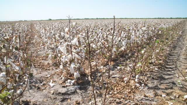 20200822-NRCS-LSC-1110
