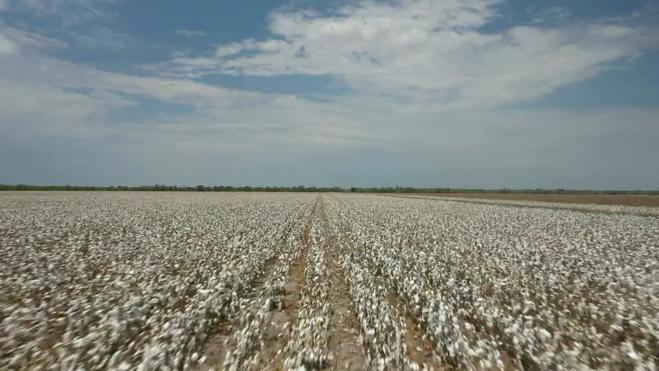 20200822-NRCS-LSC-1137
