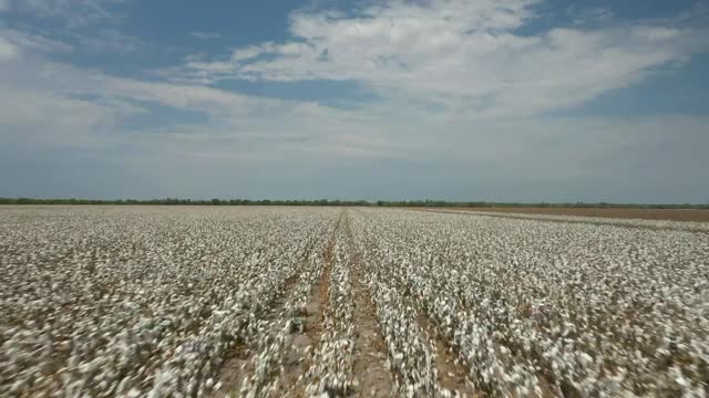 20200822-NRCS-LSC-1137