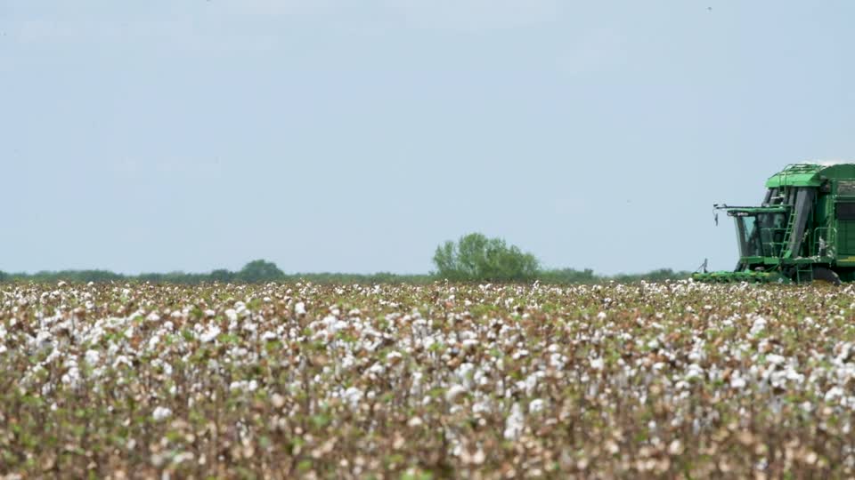 20200822-NRCS-LSC-1087