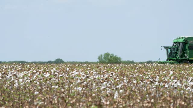 20200822-NRCS-LSC-1087