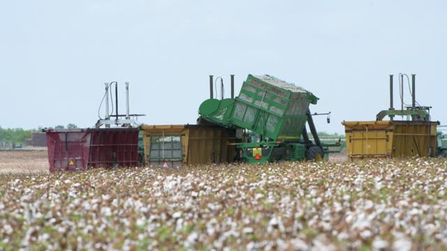 20200822-NRCS-LSC-1094