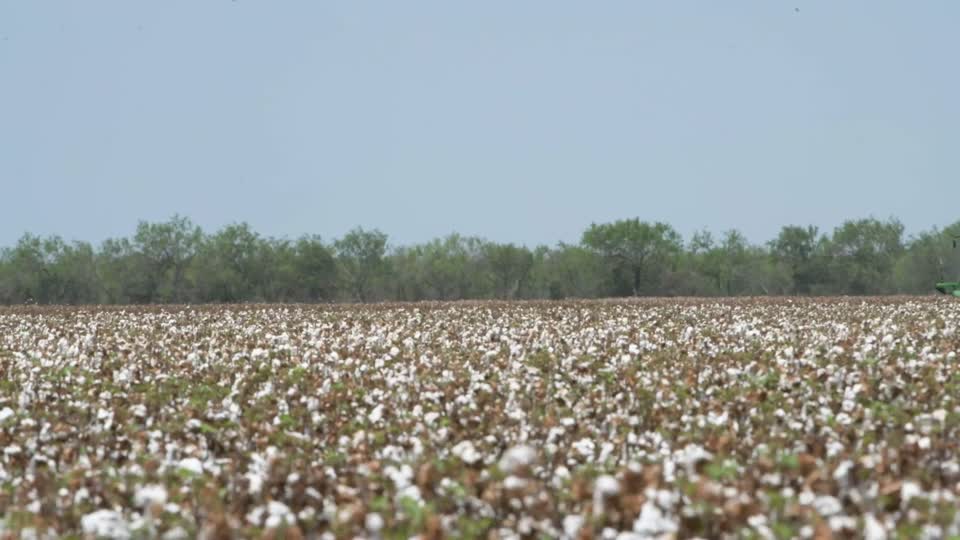 20200822-NRCS-LSC-1089