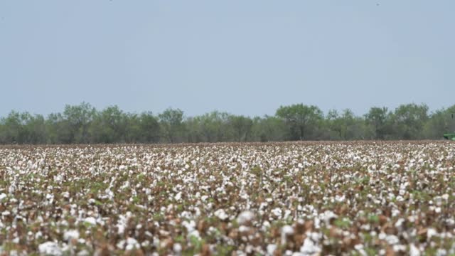 20200822-NRCS-LSC-1089