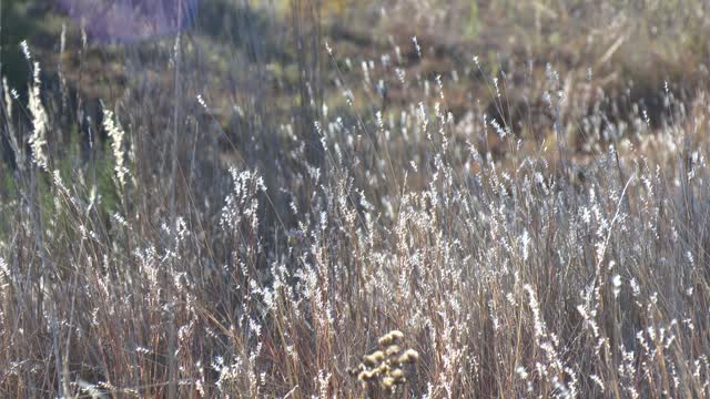 20181106-NRCS-BS-0025