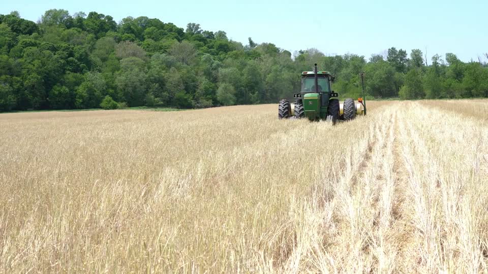 Steve Fox Planting